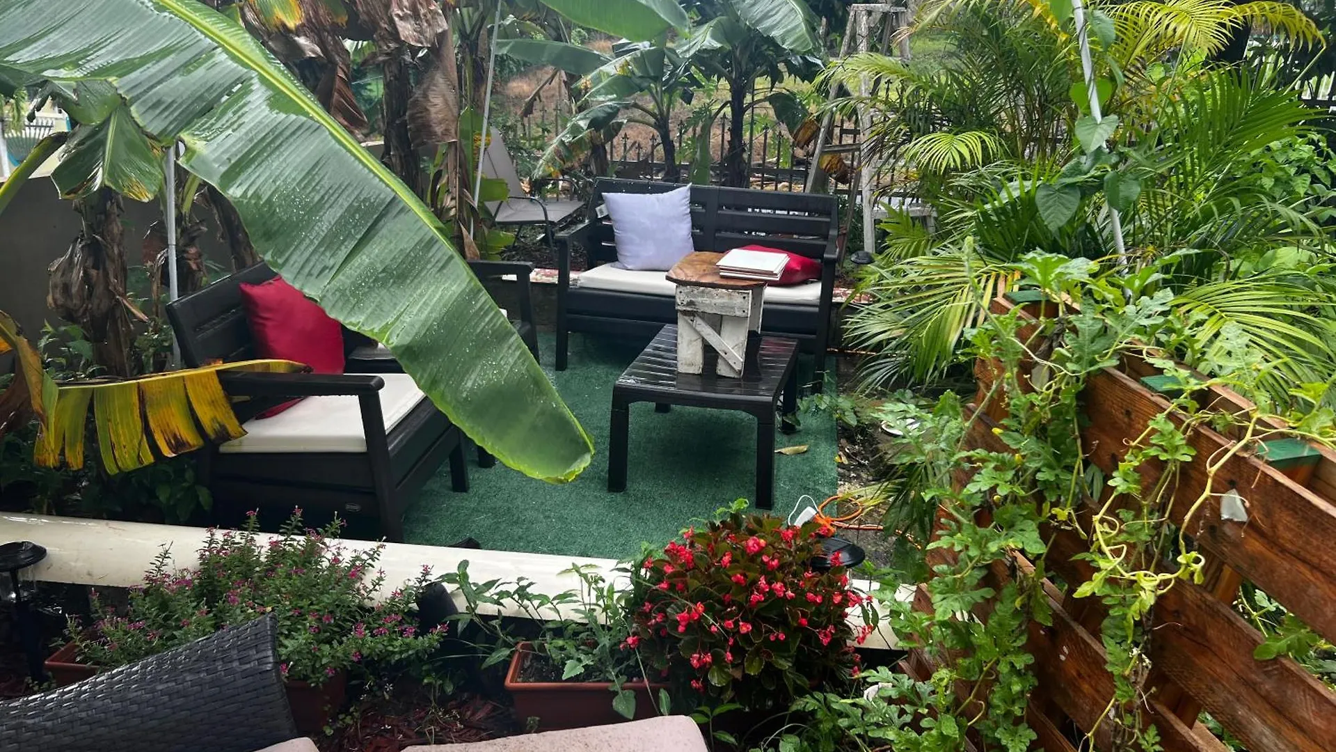 House Of Restoration Apartment Rio Grande Homestay